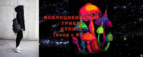 прущая мука Осташков